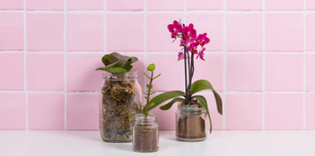 Timeless Glass for Modern Living